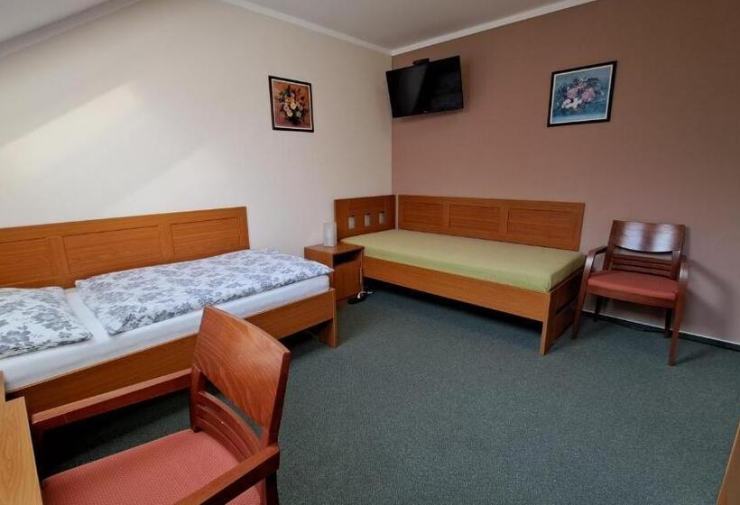 پانسیون Penzion Aida Ostrava