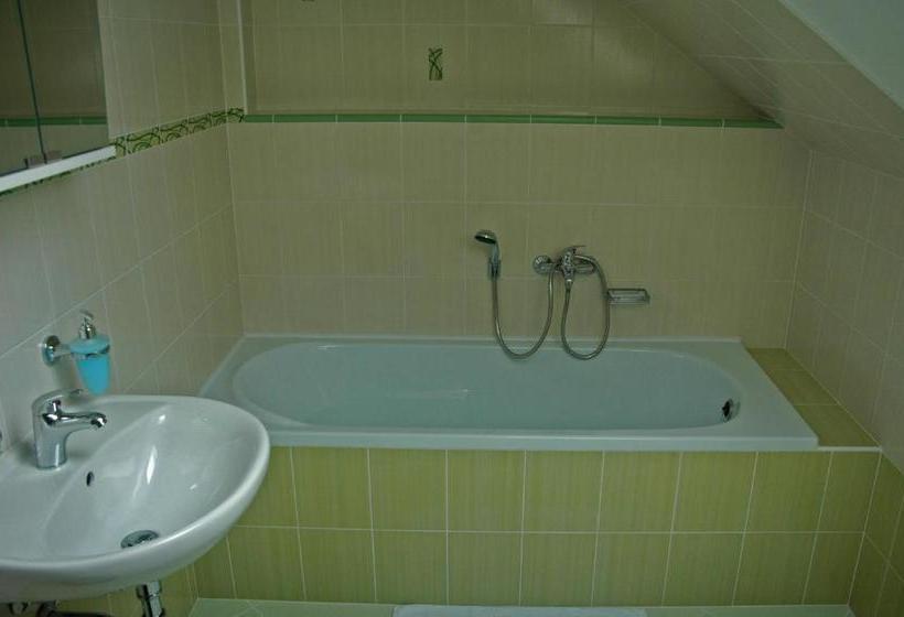 ペンション Penzion Tašner