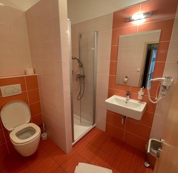 ペンション Penzion U Bohuša