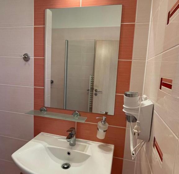 ペンション Penzion U Bohuša