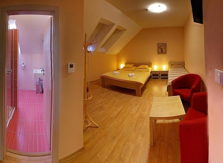 ペンション Penzion U Bohuša