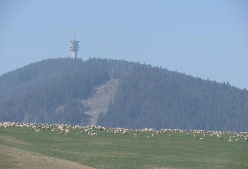 Пансион Penzion Ustie