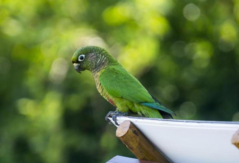 펜션 Pousada Ilhabela