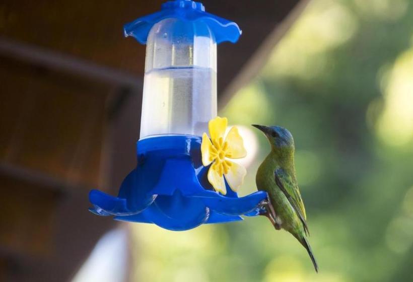 펜션 Pousada Ilhabela