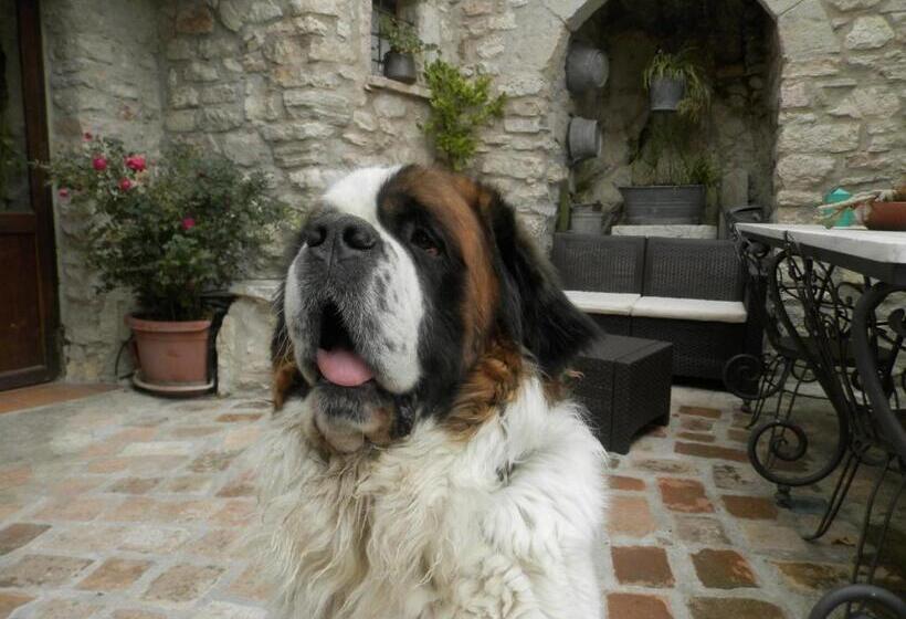 بنسيون Residenza Di Paese Castello Del Poggio