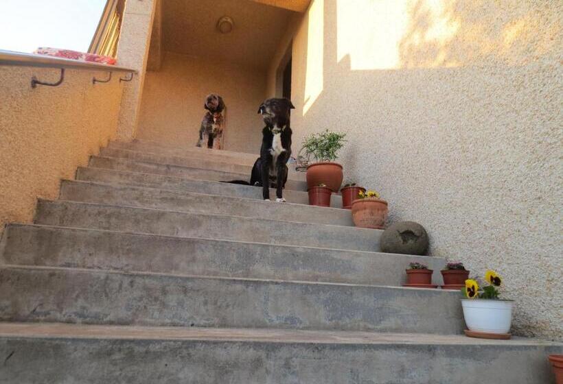 پانسیون Teigur Guesthouse