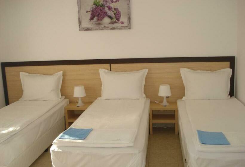 بنسيون The Sunny Home Guesthouse