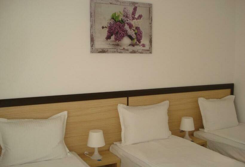 بنسيون The Sunny Home Guesthouse