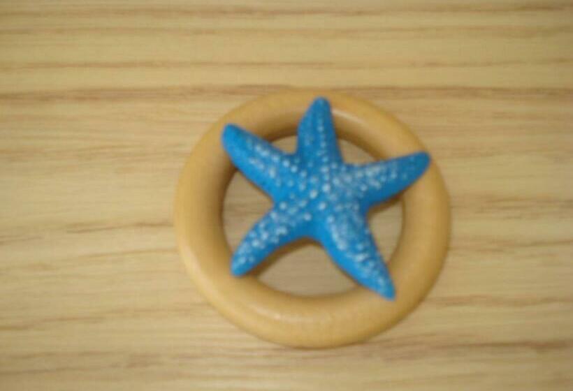 بنسيون The Sunny Home Guesthouse