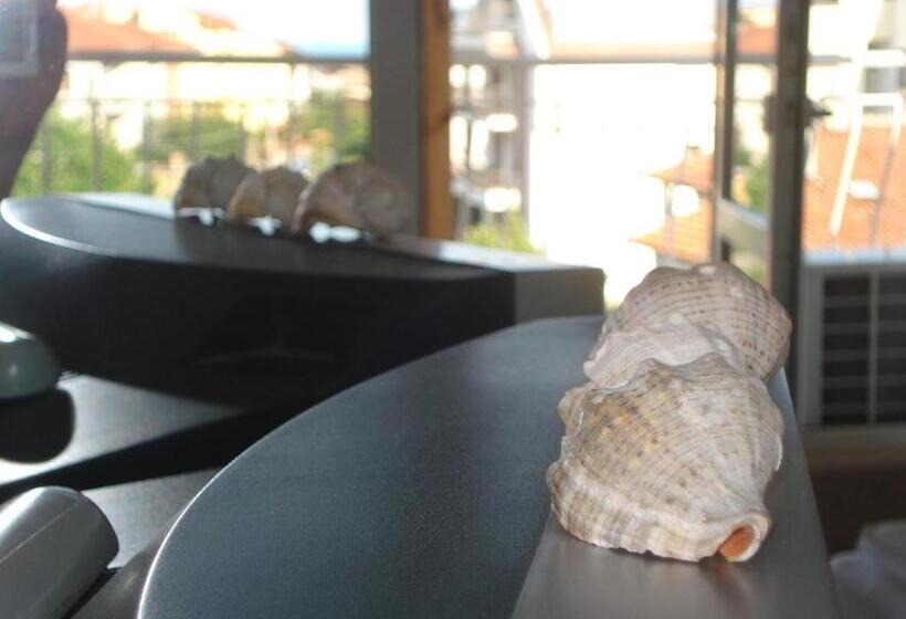 بنسيون The Sunny Home Guesthouse