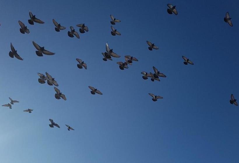 Пансион Valentin Ház