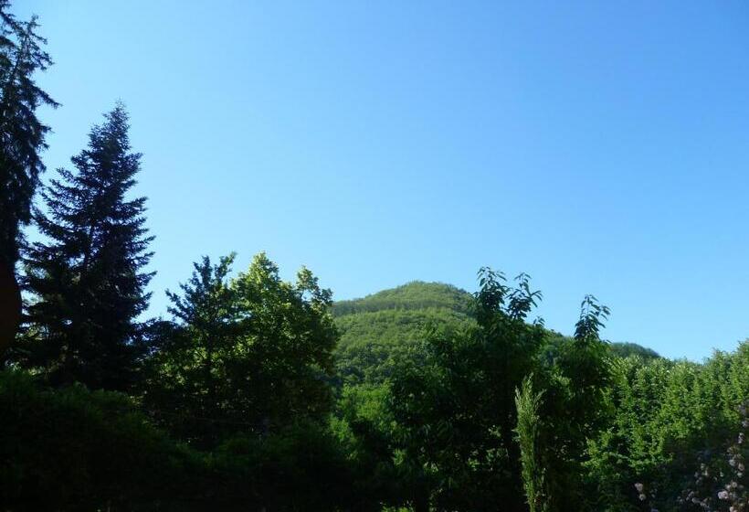 פנסיון Villa Lucchesi