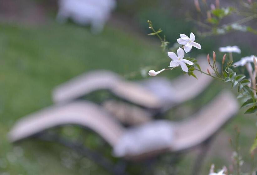 פנסיון Villa Lucchesi