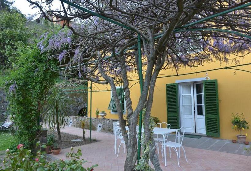 פנסיון Villa Lucchesi