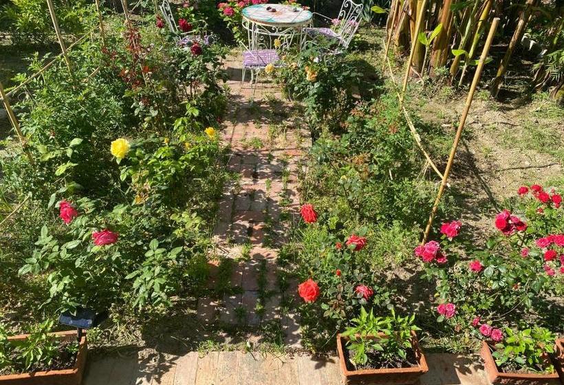 Пансион Villa Striano Capri Luxury Rooms