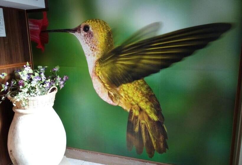 Residence Colibrì Family & Bike