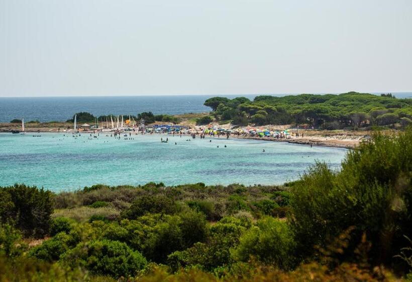 Residenze Mare E Pineta