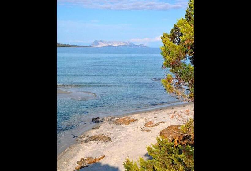 Residenze Mare E Pineta