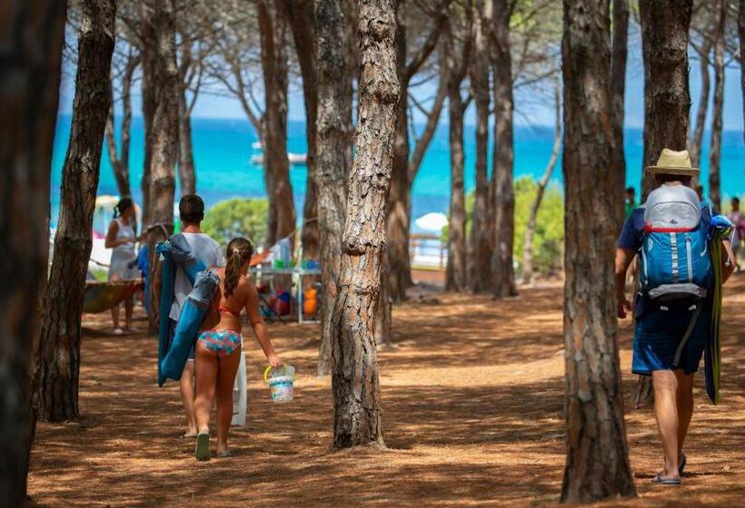 Residenze Mare E Pineta