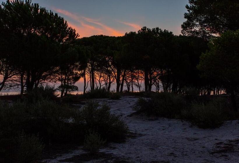 Residenze Mare E Pineta