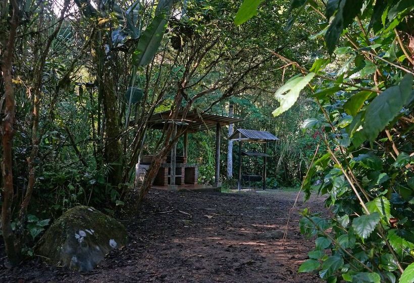 호스텔 Mindo Real