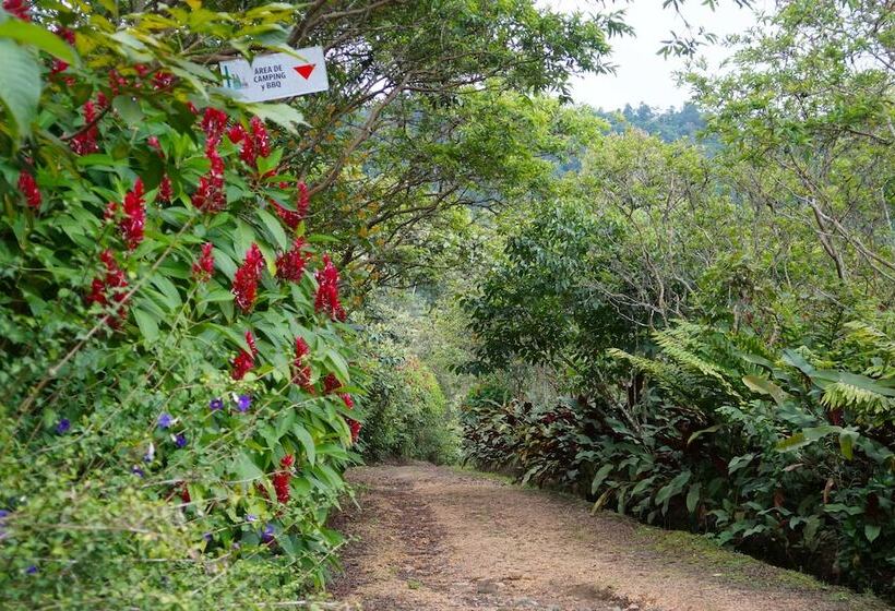 호스텔 Mindo Real