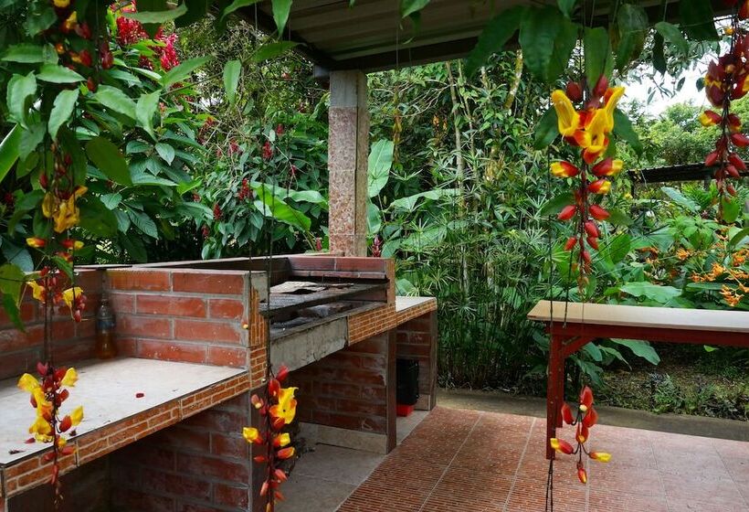 ユースホステル Mindo Real