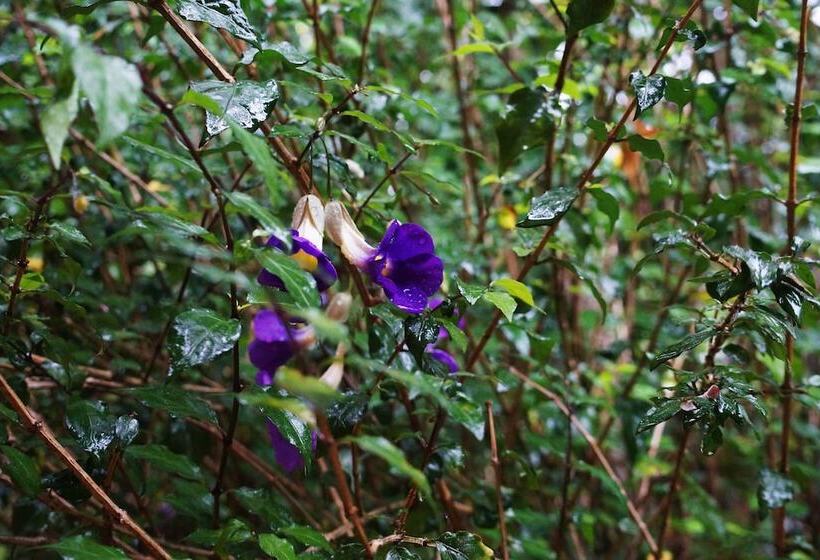 호스텔 Mindo Real