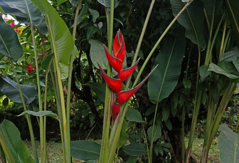 ユースホステル Mindo Real