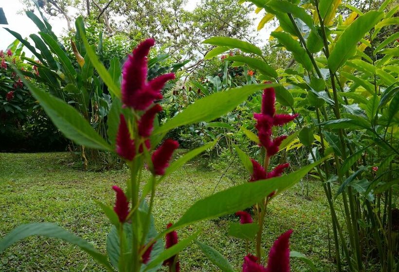 ユースホステル Mindo Real