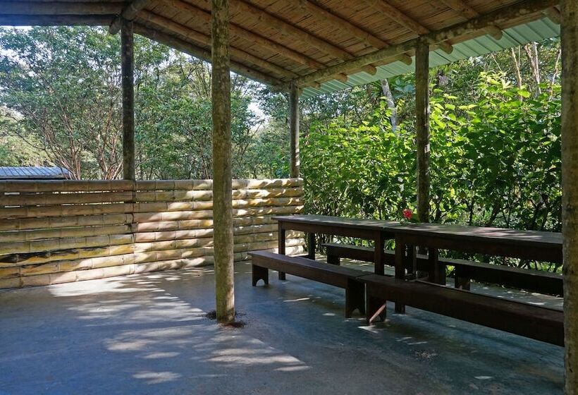 호스텔 Mindo Real