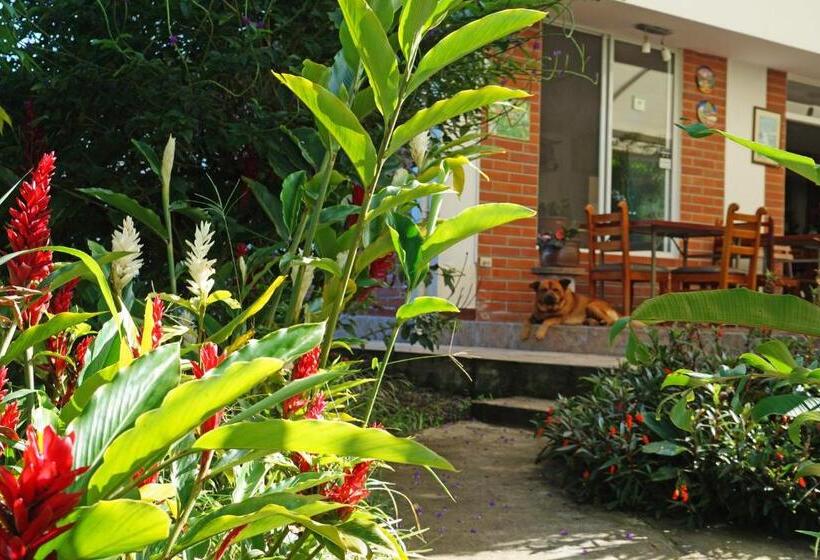 호스텔 Mindo Real