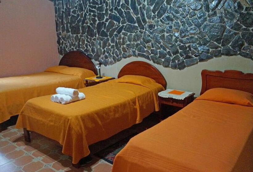 ユースホステル Mindo Real