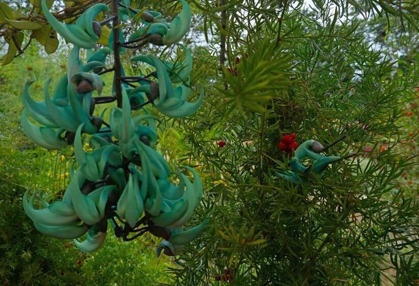 호스텔 Mindo Real