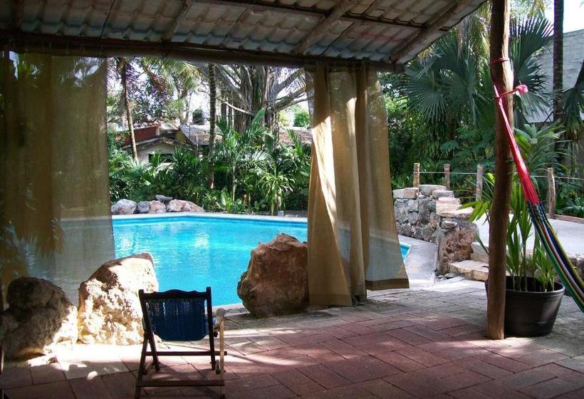 فندق صغير Posada El Jardin