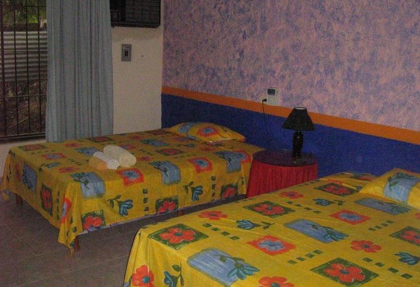 فندق صغير Posada El Jardin