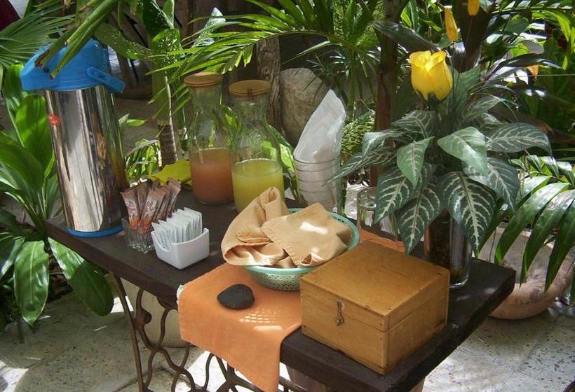 فندق صغير Posada El Jardin