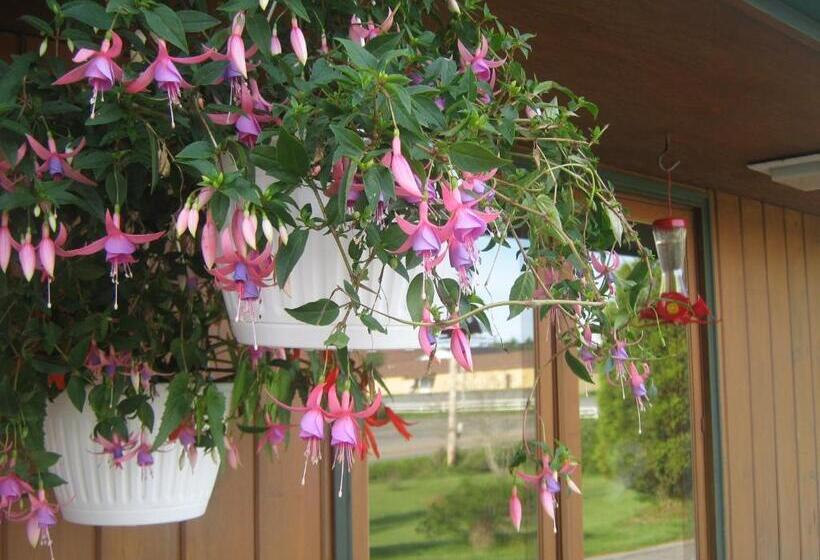 فندق صغير Sherbrooke Village Inn