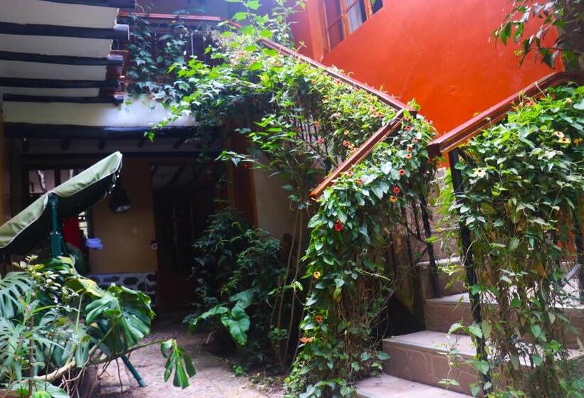 Hostel Wayras Hostal