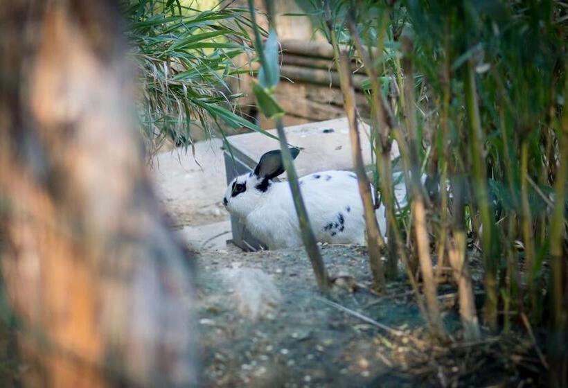 酒店 Agriturismo De Santis