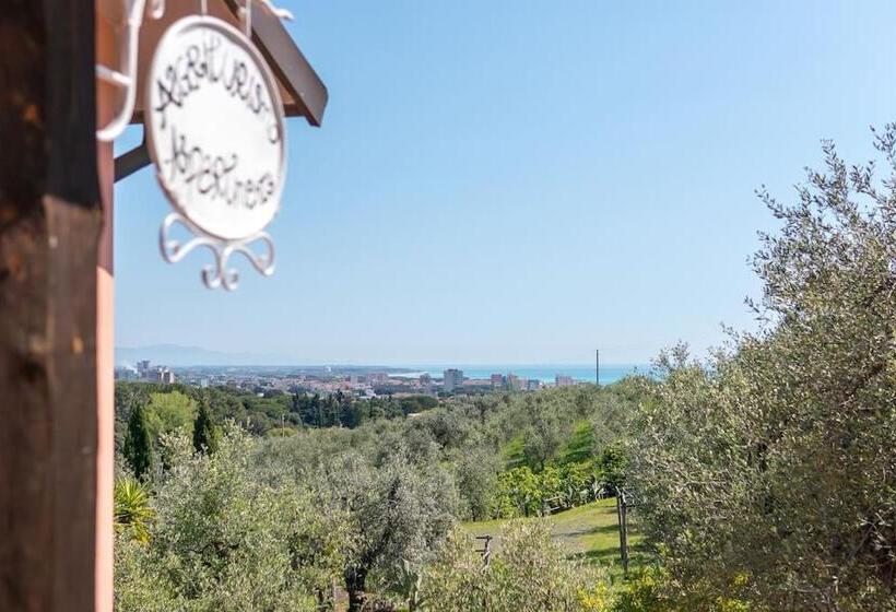 酒店 Agriturismo De Santis