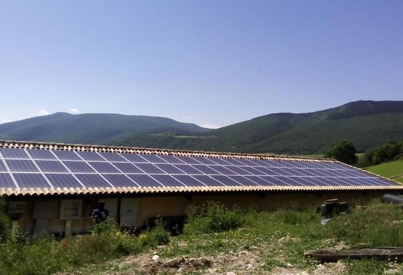 Отель Agriturismo Il Casale Degli Amici