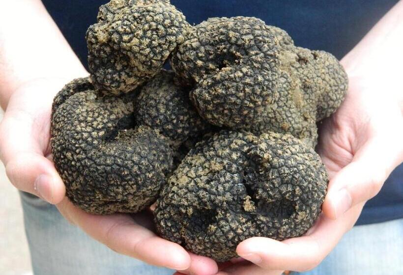 فندق Agriturismo Le Gret