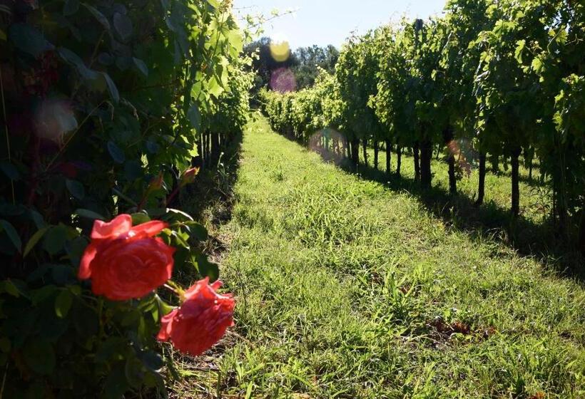 فندق Agriturismo Podere Villa Alessi