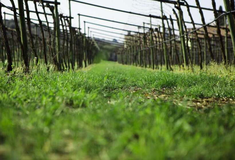 酒店 Azienda Agrituristica Corteforte