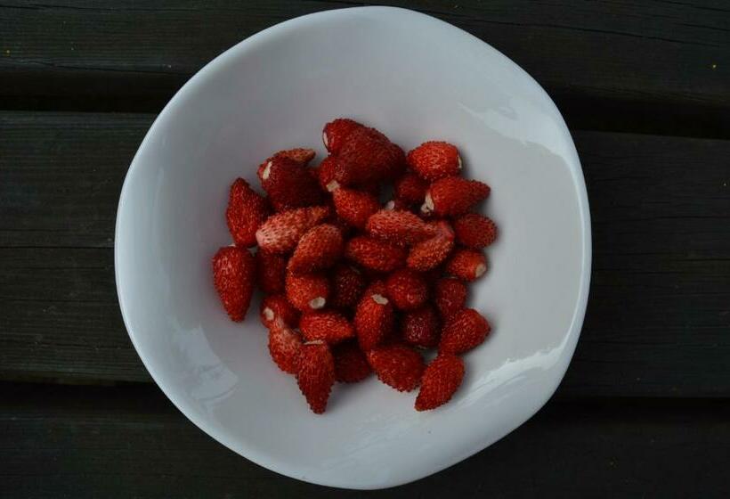 ホテル Colle Del Barbarossa