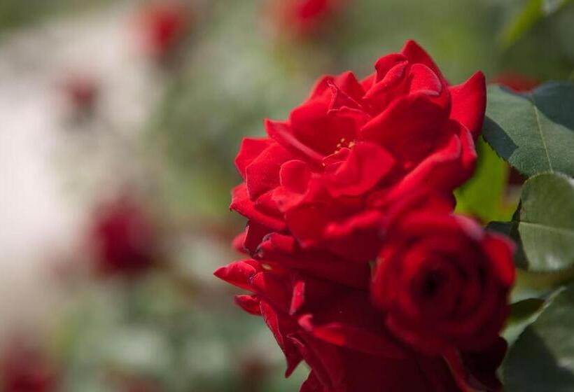 فندق Corte All'olmo