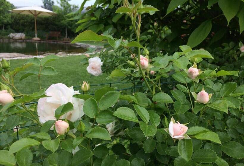 فندق Corte All'olmo