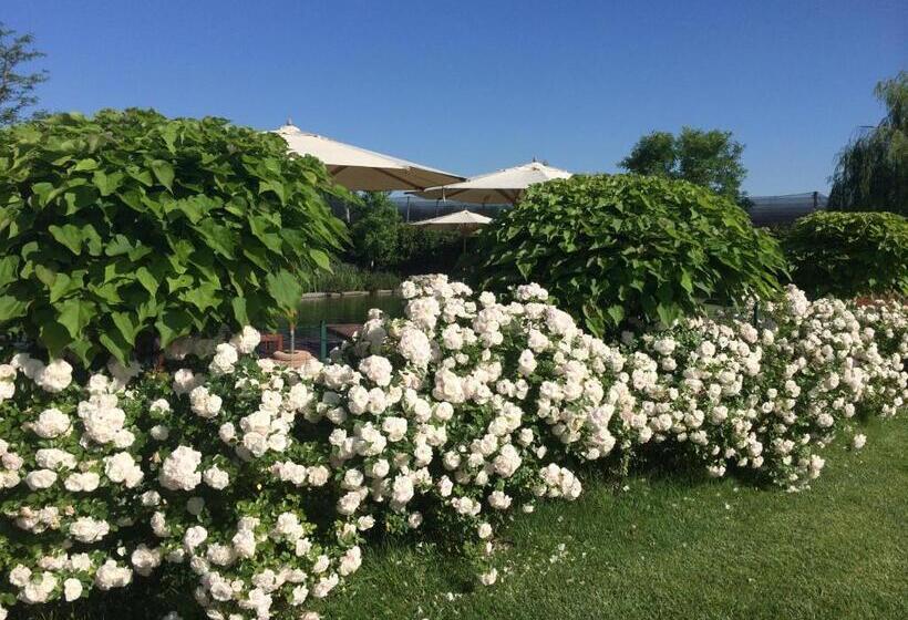 فندق Corte All'olmo