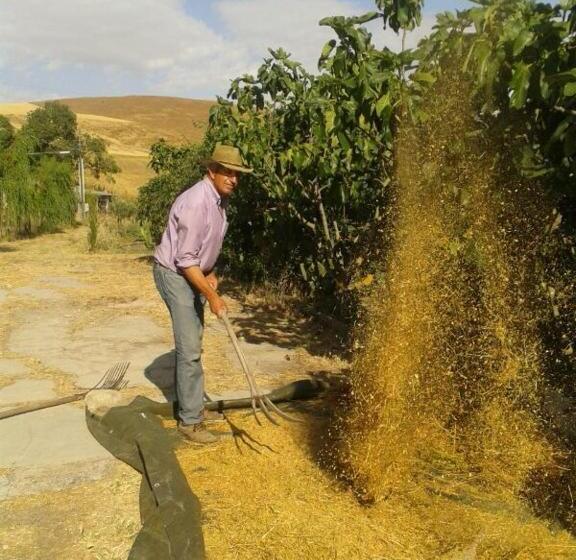 酒店 Masseria Xireni